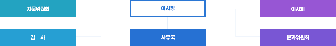 조직도, 이사장 산하 5개 분과(자문위원회, 감사, 사무국, 이사회, 분과위원회)